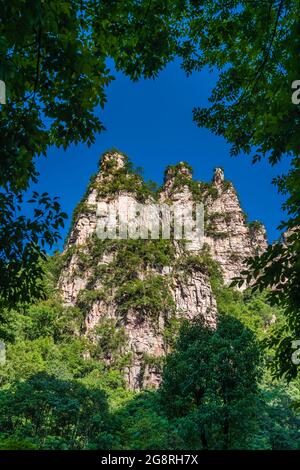 The Gathering of Heavenly Soldiers scenic rock formations, Avatar mountains nature park, Zhangjiajie, Hunan Province, China Stock Photo