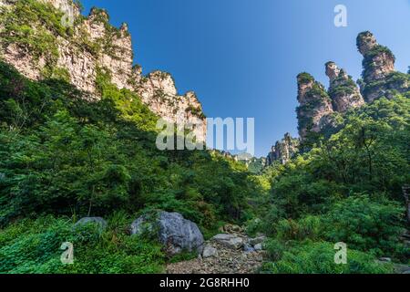 The Gathering of Heavenly Soldiers scenic rock formations, Avatar mountains nature park, Zhangjiajie, Hunan Province, China Stock Photo