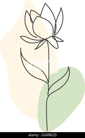 A plant drawn in a vector by one continuous line. Stock Vector