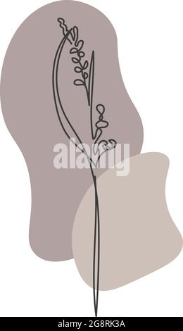 A plant drawn in a vector by one continuous line. Stock Vector