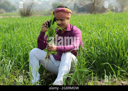indian farmer talking phone,agricultral field Stock Photo