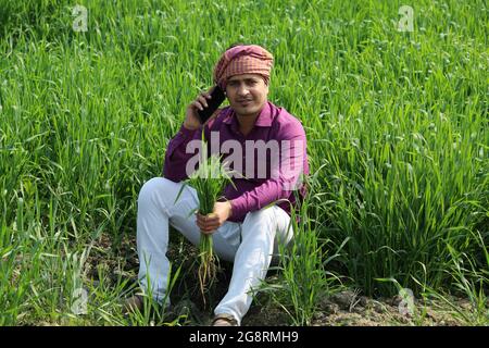 indian farmer talking phone,agricultral field Stock Photo