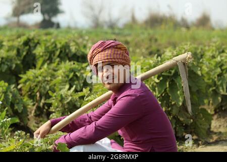 farmer,sitting in agricultural field Stock Photo