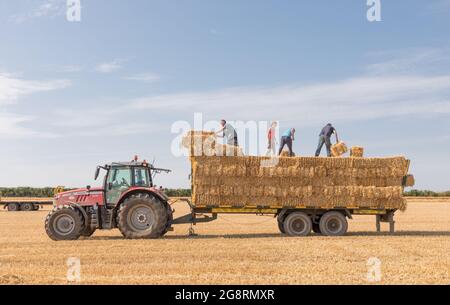 Riverstick, Cork, Ireland. 22nd July, 2021. Norman and Miriam Draper help Con and Connor O'Sullivan load a trailer with bales of straw at Riverstick, Co. Cork, Ireland. - Picture; Credit: David Creedon/Alamy Live News Stock Photo