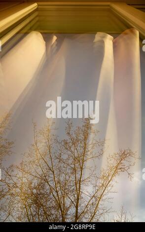 View of the street through the window, which reflects the curtains, illuminated by the sun. A gentle view of the reflected sunlight on the curtains Stock Photo