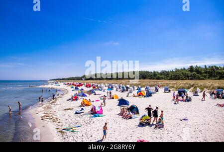 Prerow, Germany. 15th July, 2021. Holidaymakers and day trippers visit the Baltic Sea beach near the pier. Credit: Jens Büttner/dpa-Zentralbild/ZB/dpa/Alamy Live News Stock Photo