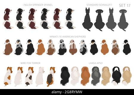 Sitting dogs backside clipart, rear view. Diifferent coat colors variety. Pet graphic design for dog lovers. Vector illustration Stock Vector