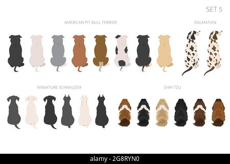 Sitting dogs backside clipart, rear view. Diifferent coat colors variety. Pet graphic design for dog lovers. Vector illustration Stock Vector