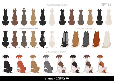 Sitting dogs backside clipart, rear view. Diifferent coat colors variety. Pet graphic design for dog lovers. Vector illustration Stock Vector