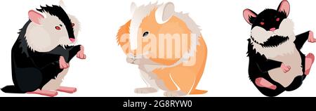 Three realistic hamsters on a white background - Vector illustration Stock Vector