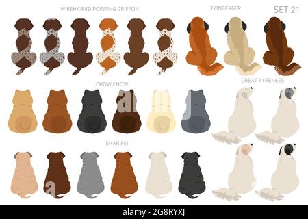 Sitting dogs backside clipart, rear view. Diifferent coat colors variety. Pet graphic design for dog lovers. Vector illustration Stock Vector