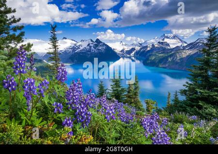 Garibaldi Lake from Panorama Ridge Stock Photo