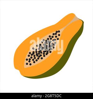 fruit papaya isolated on white background Stock Vector