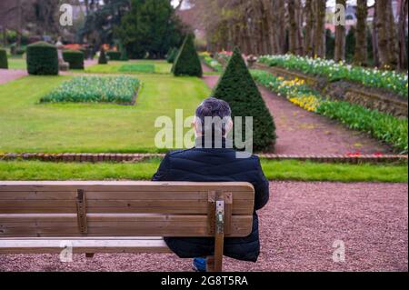 Middle aged man with grey hair sitting on a bench in a park and enjoying the view Stock Photo