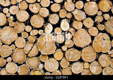piled tree trunks , Austria Stock Photo