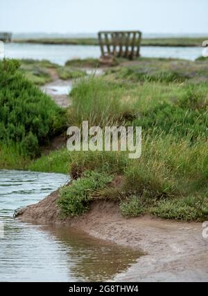 Wooden pedestrian bridges in the salt marshes at Stiffkey near Holt in North Norfolk, East Anglia UK. Stock Photo
