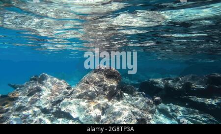 Below the surface of the Caribbean Sea, Underwater vector background. Stock Vector
