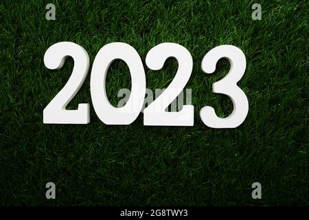 2023 Happy New Year Flat lay on Green artificial grass Stock Photo