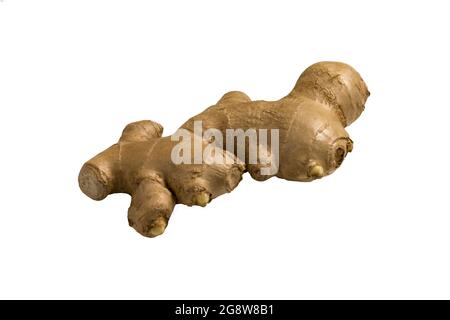 one ginger isolated on white background Stock Photo