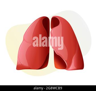 Covid-19 Impact on Human Lungs - PULMONARY EDEMA - Illustration as EPS 10 File Stock Vector