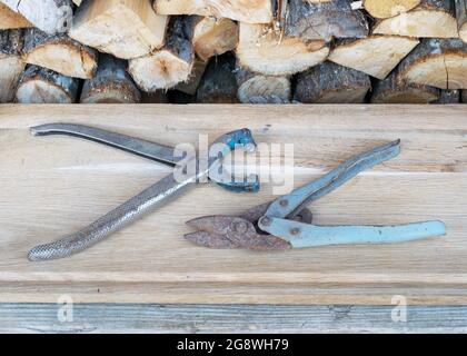 photo with antique iron scissors on wooden background, rusty tools, metal waste, scrap metal Stock Photo