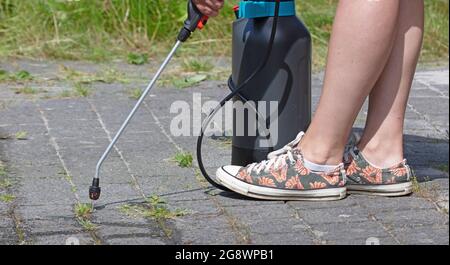 Spraying pesticide with portable sprayer to eradicate garden weeds - Weed control concept Stock Photo