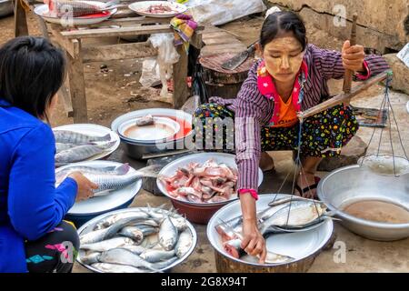 Fresh fish market in Yangon, Myanmar Stock Photo