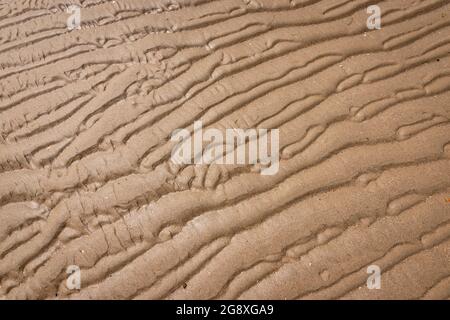 Rippled sand texture background of wet beach. Stock Photo
