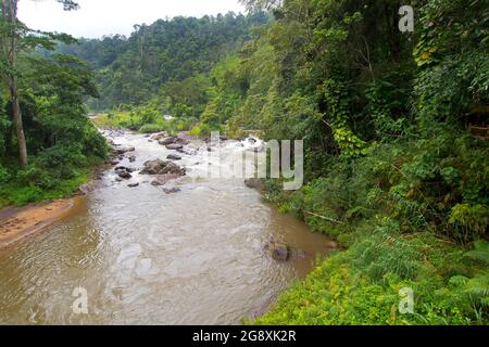 Rainforest River, Sinharaja National Park Rain Forest, Sinharaja Forest Reserve, World Heritage Site, UNESCO,  Biosphere Reserve, Sri Lanka Stock Photo