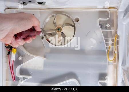 A technician uses a screwdriver in refrigerator fridge. Inside refrigerator repair. Disassembled refrigerator. Removed back cover fridge. fan repair. Stock Photo