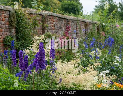 Colourful mixed herbaceous border at Oxburgh Hall near Oxborough, Norfolk, uk. Low growing clumps of purple Catmint, nepeta racemosa, dominate. Stock Photo