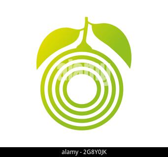 Lime made of leaves and a circle of three lines Stock Vector