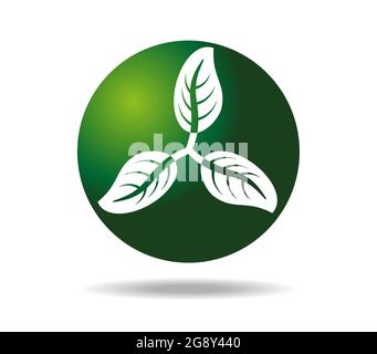 Three white leaves arranged in a propeller shape against a green spherical background Stock Vector