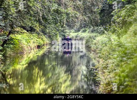 A narrowboat travels through trees on both sides of the beautiful Basingstoke Canal at Deepcut in Surrey Stock Photo