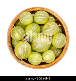 Green gooseberries in a wooden bowl. Fresh and ripe berries, fruits of Ribes, also known as European gooseberry, with sourish sweet taste. Stock Photo