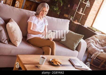Portrait of attractive cheery focused grey-haired woman using device free time sitting on sofa at home house indoors modern brick interior Stock Photo