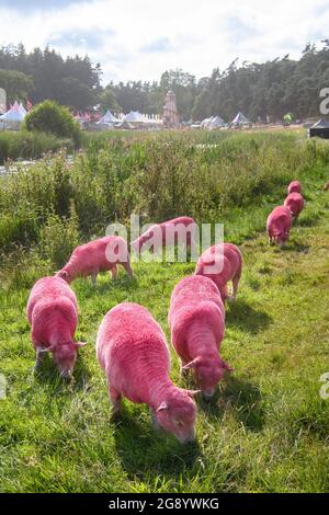 Southwold, UK. 23 July 2021. Atmosphere on the first day of the Latitude festival in Henham Park, Southwold, Suffolk. Picture date: Friday July 23, 2021. Photo credit should read: Matt Crossick/Empics/Alamy Live News Stock Photo
