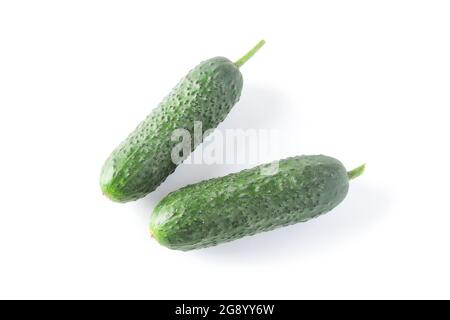 Fresh cucumbers close up isolated on white background Stock Photo