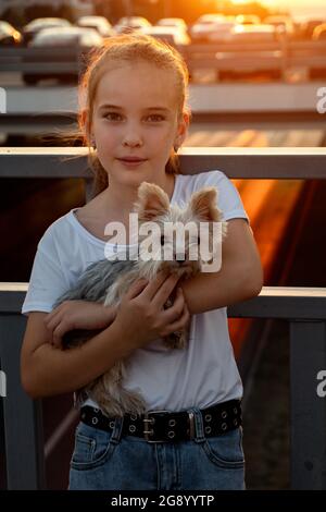Schoolgirl poses with dog at back sunset. Teenage girl in white t-shirt holds small puppy in arms standing on street bridge against setting sun light Stock Photo