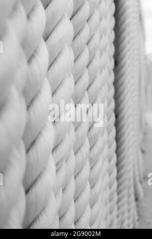 Strong white ropes weigh upright on white background Stock Photo