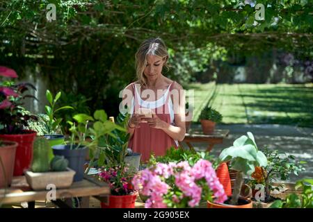 Mature woman text messaging through smart phone while standing at backyard Stock Photo