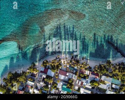 Houses amidst trees at Thulusdhoo Island, Kaafu atoll, Maldives Stock Photo