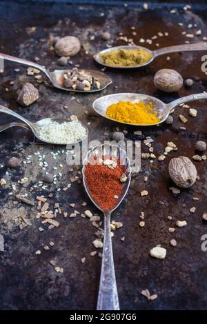 Spoons with various spices and legumes Stock Photo