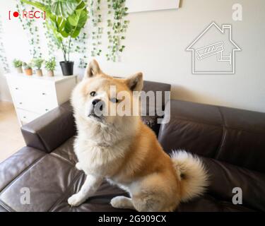 Smart home icons on digital tablet Stock Photo