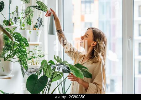 Beautiful woman spraying water on houseplants at home Stock Photo