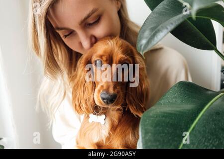 Woman kissing Cocker Spaniel dog at home Stock Photo