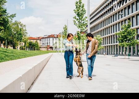 Couple playing with dog while walking on city street Stock Photo