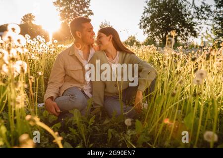 Affectionate young couple sitting together on meadow during sunset Stock Photo