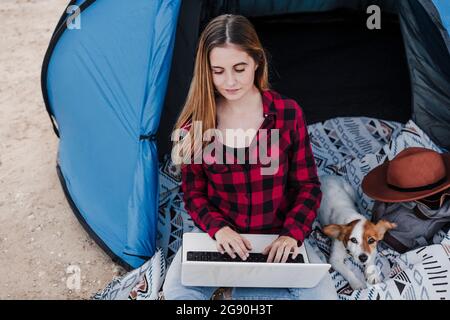 Young female freelancer using laptop sitting by dog in tent Stock Photo