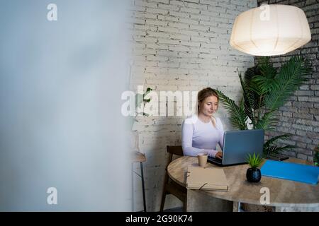 Young female freelancer using laptop while working at home Stock Photo